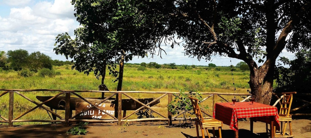 Selous Adili Forest Camp, Млока — фото 1