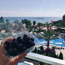 Annabella Diamond Hotel - All Inclusive, 阿拉尼亚 — 照片 4