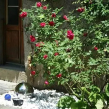 Le Bourg 7, Lutry — photo 5