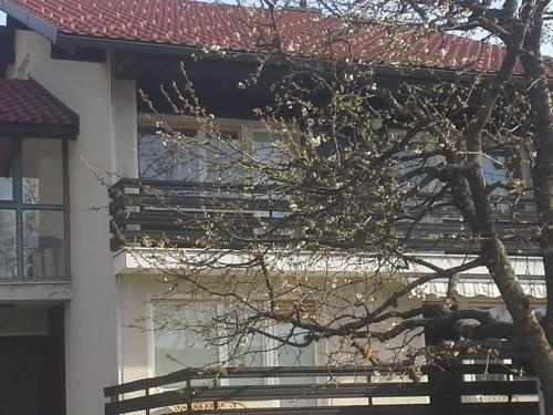 B&B Na Poljani, Skofja Loka — photo 1