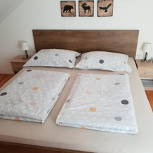 Apartment Beks, 波斯托伊纳 — 照片 5