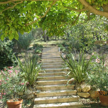 Villa Boulou, 罗涅 — 照片 2