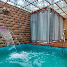 Jungle Lodge Resort, 索朗 — 照片 4
