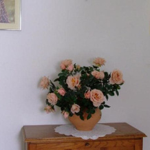 Hotel am Birkenweg, Erlangen — photo 2