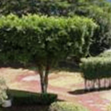 Hotel Jardin, 瓦奇南戈 — 照片 3