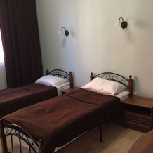 Lev, Kingisepp — photo 3