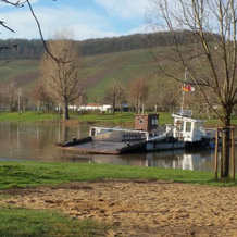 Gasthaus zur Sonne, Nordheim a. Main — photo 4