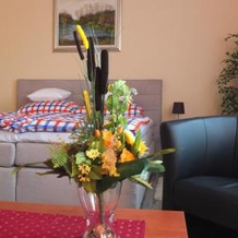Country House Baranjski Tulipan, 比列 — 照片 5