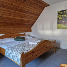 Guesthouse Jelenov Greben, Podcetrtek — photo 2
