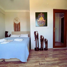 Herrera Otel & Tiny House, Эзине — фото 5