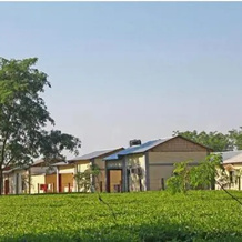Mystic resort amidst Tea Garden, 尤塔尔·马达里赫特 — 照片 2
