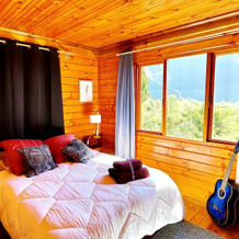House With 3 Bedrooms in La Plaine des Palmistes, With Wonderful Mount, 拉普莱讷-德帕尔米斯特 — 照片 5