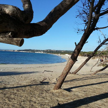 Case Vacanza Rivabella, Gallipoli — photo 5
