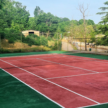 Polonezköy Country Club & Accommodation in the Wildlife Park, 波洛内兹柯伊 — 照片 2
