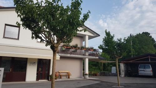 Guesthouse Pri Mihelovih, Sezana — photo 1