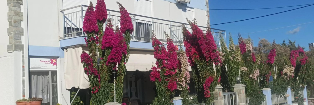 Diamanti Studios, Skala Kallonis — photo 1