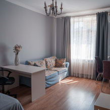 Uyutnaya Studiya Okolo Sheremetyevo Flat, 希姆基 — 照片 4