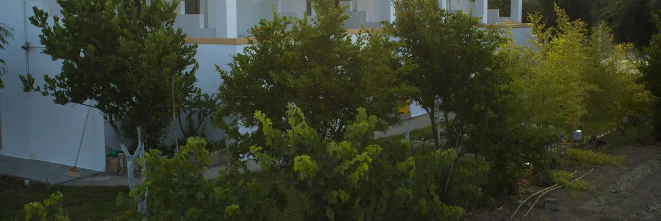Level Houses, Kefalos — photo 1