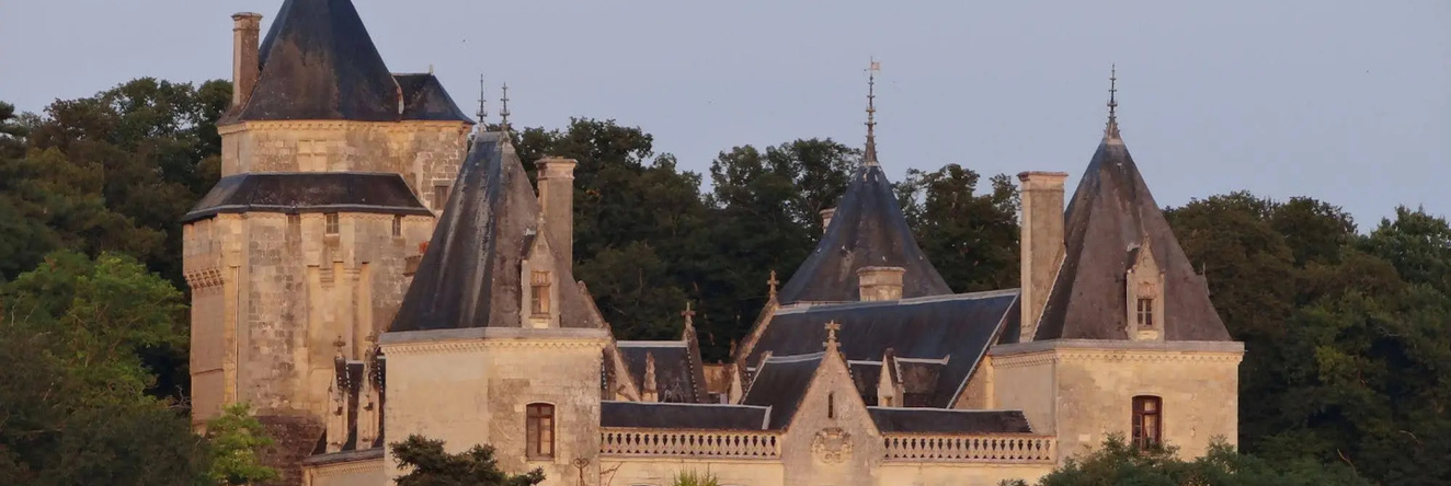 Château De Ternay, Терне — фото 1