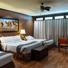 Dahilayan Forest Park Resort, Manolo Fortich — photo 2