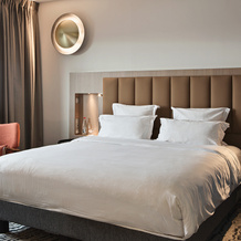 Doubletree By Hilton Lyon Eurexpo & Spa, Сен-Приест — фото 3