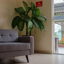 Hotel Graal Inn Queluz, 圣若泽杜巴雷鲁 — 照片 3