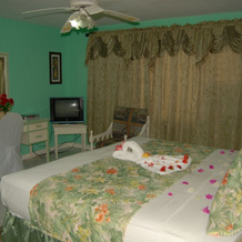 Pink Hibiscus Villa, Монтего-Бей — фото 5