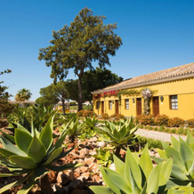 Eco Hotel Vila Galé Albacora, Тавира — фото 2