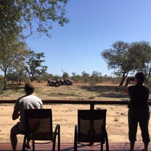 Tulela Safari Lodge, 克莱塞雷自然保护区 — 照片 5