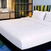 Ibis Styles Muenchen Airport, Freising — photo 3
