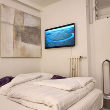 Lago di Lugano 9041, Bissone — photo 4