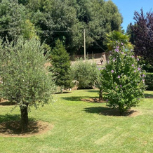 Casetta Santa Fortunata Guest House, 苏特里 — 照片 3