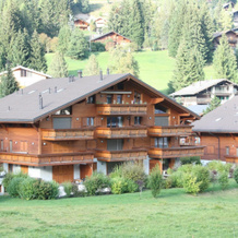 Edelweiss B31 - 3 Bedroom Apartment, Morgins — photo 2