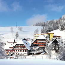 Naturparkhotel Adler, 沃尔法赫 — 照片 5