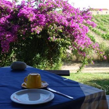 Agriturismo Campesi, 阿连特茹 — 照片 4