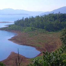 Bison River Resort, 巴琼德 — 照片 5