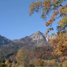 Alpenhotel Dahoam, Schleching — photo 3