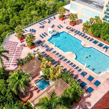 Pet Friendly Condos In Sunny Isles, Санни-Айлс-Бич — фото 3