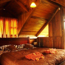 Urcu de Mindo Lodge, Tandayapa — photo 2
