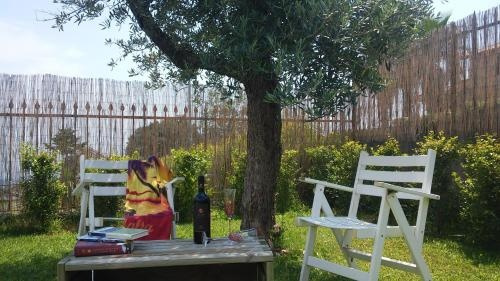 I Colori del Sole, 扎费拉纳埃特内阿 — 照片 1