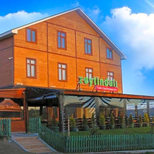 Zeytindalı Yayla Hotel, 迪兹柯伊 — 照片 5