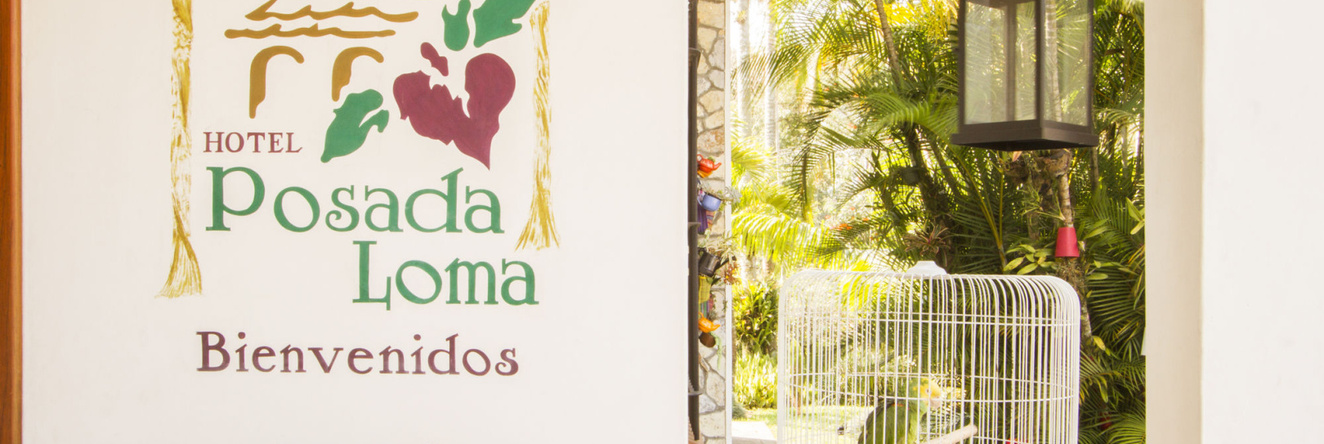 Hotel Posada Loma, 福尔廷德拉斯弗洛雷斯 — 照片 1