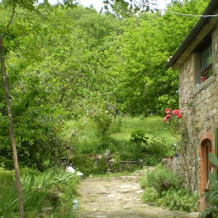 Podere La Buca, Castel Focognano — photo 3