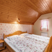 Holiday Home Horni Vestonice, 上韦斯托尼采 — 照片 3