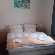 Guest House Nad Berounkou, 兹贝奇诺 — 照片 3