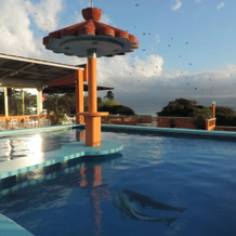 Hotel Juros, Катемако — фото 4