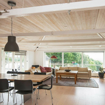 Cosy Holiday Home in Skanderborg With Private Pool, 斯坎讷堡 — 照片 2
