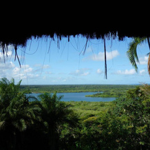 Eco Rainforest House, Itacare — photo 4