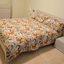 Perarolo Halldis Apartments, 佩拉罗洛迪卡多雷 — 照片 3
