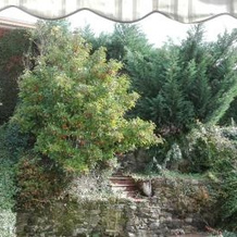 Gli Oleandri di Belfiore, 拉斯特拉阿西尼亚 — 照片 2